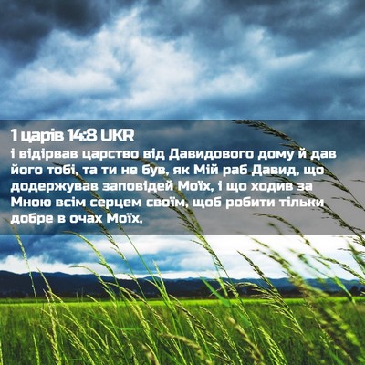 Picture 02 - 1 царів 14:8 UKR - і відірвав царство від - Bible Verse Picture