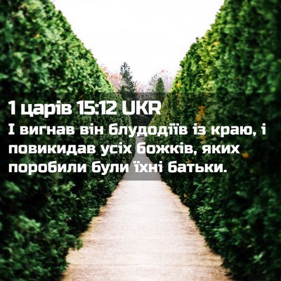 Picture 02 - 1 царів 15:12 UKR - І вигнав він блудодіїв із - Bible Verse Picture