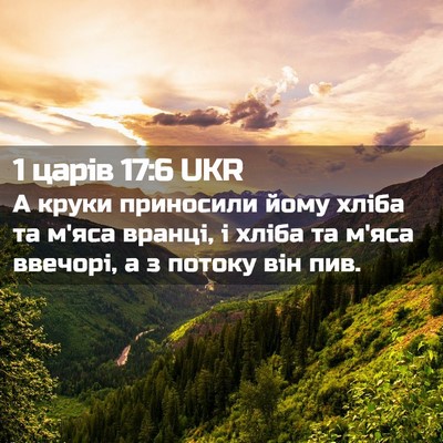 Picture 02 - 1 царів 17:6 UKR - А круки приносили йому - Bible Verse Picture
