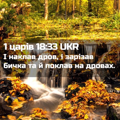 Picture 02 - 1 царів 18:33 UKR - І наклав дров, і зарізав - Bible Verse Picture
