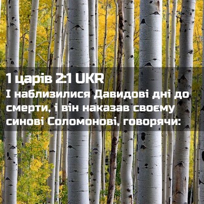 Picture 02 - 1 царів 2:1 UKR - І наблизилися Давидові дні - Bible Verse Picture