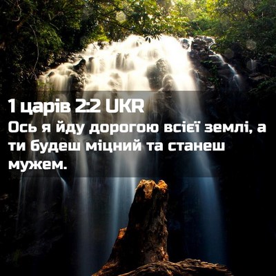 Picture 02 - 1 царів 2:2 UKR - Ось я йду дорогою всієї - Bible Verse Picture