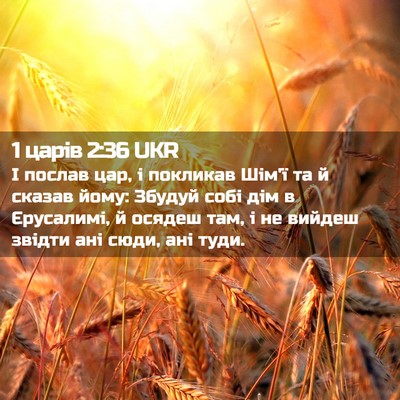 Picture 02 - 1 царів 2:36 UKR - І послав цар, і покликав - Bible Verse Picture