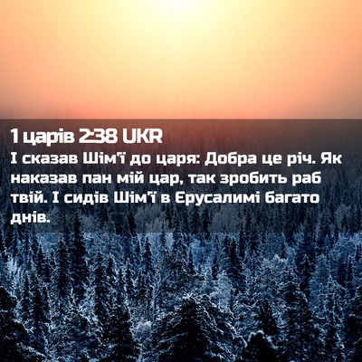 Picture 02 - 1 царів 2:38 UKR - І сказав Шім'ї до царя: - Bible Verse Picture
