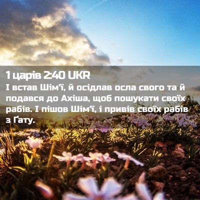 Picture 02 - 1 царів 2:40 UKR - І встав Шім'ї, й осідлав - Bible Verse Picture