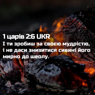 Picture 02 - 1 царів 2:6 UKR - І ти зробиш за своєю - Bible Verse Picture