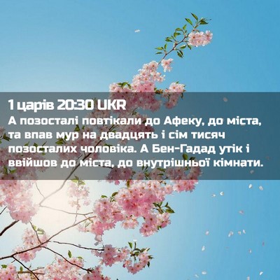 Picture 02 - 1 царів 20:30 UKR - А позосталі повтікали до - Bible Verse Picture