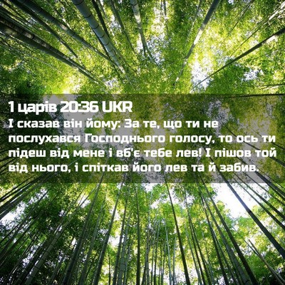 Picture 02 - 1 царів 20:36 UKR - І сказав він йому: За те, що - Bible Verse Picture