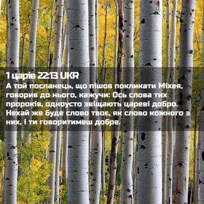 Picture 02 - 1 царів 22:13 UKR - А той посланець, що пішов - Bible Verse Picture