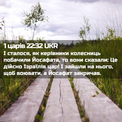 Picture 02 - 1 царів 22:32 UKR - І сталося, як керівники - Bible Verse Picture