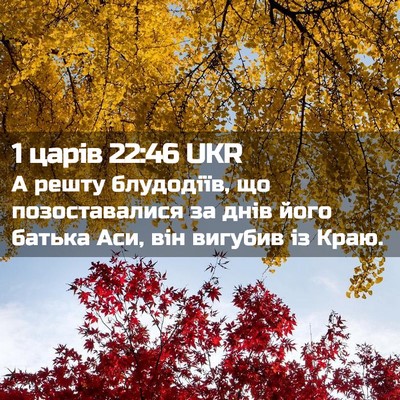 Picture 02 - 1 царів 22:46 UKR - А решту блудодіїв, що - Bible Verse Picture