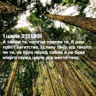 Picture 02 - 1 царів 3:13 UKR - А також те, чого не просив - Bible Verse Picture