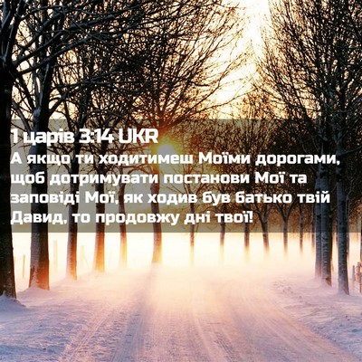 Picture 02 - 1 царів 3:14 UKR - А якщо ти ходитимеш Моїми - Bible Verse Picture