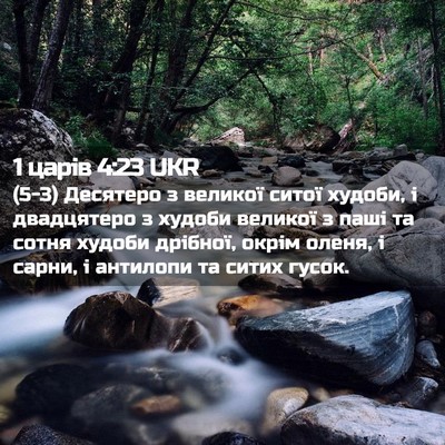 Picture 02 - 1 царів 4:23 UKR - (5-3) Десятеро з великої - Bible Verse Picture