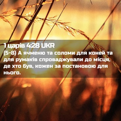 Picture 02 - 1 царів 4:28 UKR - (5-8) А ячменю та соломи для - Bible Verse Picture