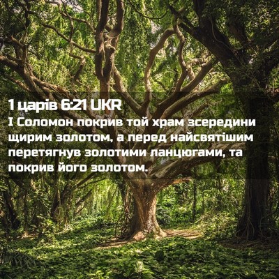 Picture 02 - 1 царів 6:21 UKR - І Соломон покрив той храм - Bible Verse Picture