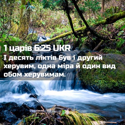 Picture 02 - 1 царів 6:25 UKR - І десять ліктів був і - Bible Verse Picture