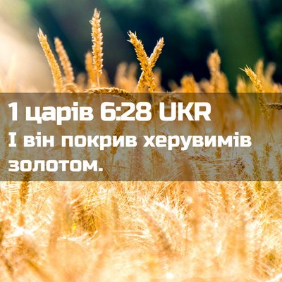 Picture 02 - 1 царів 6:28 UKR - І він покрив херувимів - Bible Verse Picture