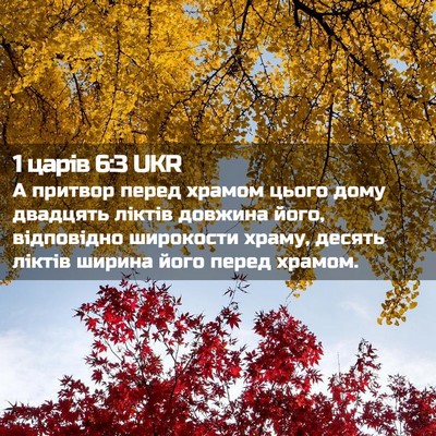 Picture 02 - 1 царів 6:3 UKR - А притвор перед храмом - Bible Verse Picture