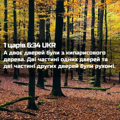 Picture 02 - 1 царів 6:34 UKR - А двоє дверей були з - Bible Verse Picture