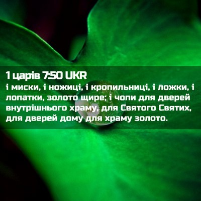 Picture 02 - 1 царів 7:50 UKR - і миски, і ножиці, і - Bible Verse Picture