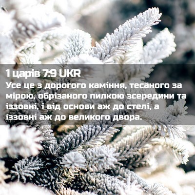Picture 02 - 1 царів 7:9 UKR - Усе це з дорогого каміння, - Bible Verse Picture
