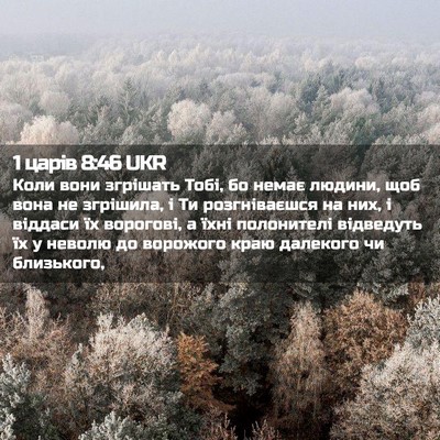 Picture 02 - 1 царів 8:46 UKR - Коли вони згрішать Тобі, бо - Bible Verse Picture