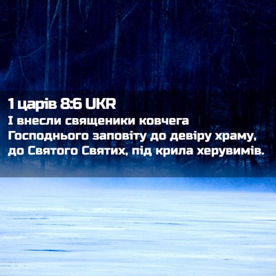 Picture 02 - 1 царів 8:6 UKR - І внесли священики ковчега - Bible Verse Picture