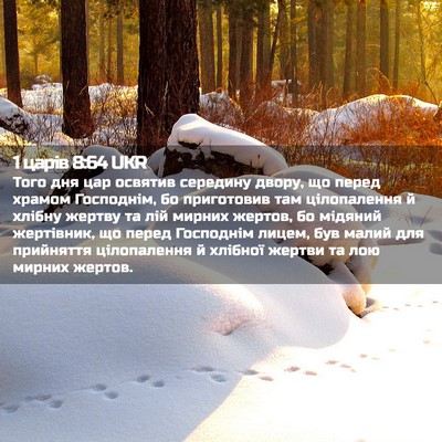 Picture 02 - 1 царів 8:64 UKR - Того дня цар освятив - Bible Verse Picture