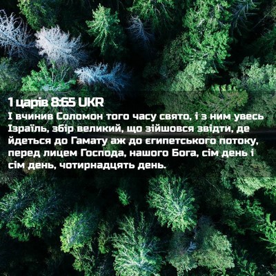 Picture 02 - 1 царів 8:65 UKR - І вчинив Соломон того часу - Bible Verse Picture