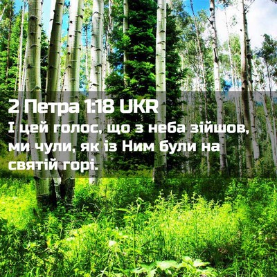 Picture 02 - 2 Петра 1:18 UKR - І цей голос, що з неба - Bible Verse Picture