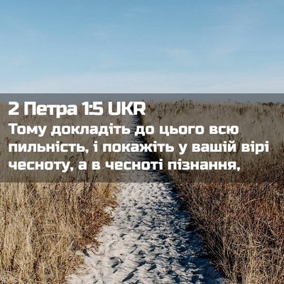 Picture 02 - 2 Петра 1:5 UKR - Тому докладіть до цього - Bible Verse Picture