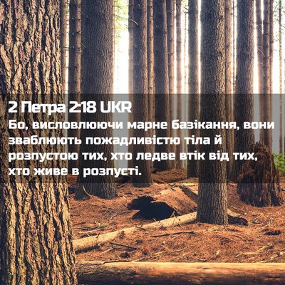 Picture 02 - 2 Петра 2:18 UKR - Бо, висловлюючи марне - Bible Verse Picture