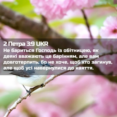 Picture 02 - 2 Петра 3:9 UKR - Не бариться Господь із - Bible Verse Picture