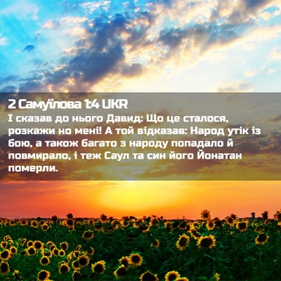 Picture 02 - 2 Самуїлова 1:4 UKR - І сказав до нього Давид: Що - Bible Verse Picture