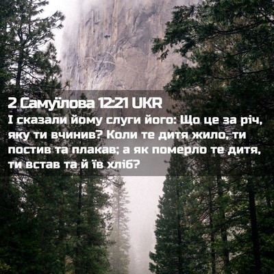 Picture 02 - 2 Самуїлова 12:21 UKR - І сказали йому слуги його: - Bible Verse Picture