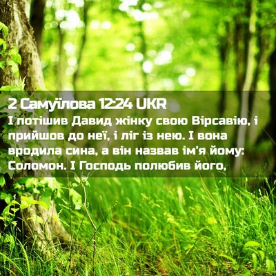 Picture 02 - 2 Самуїлова 12:24 UKR - І потішив Давид жінку свою - Bible Verse Picture