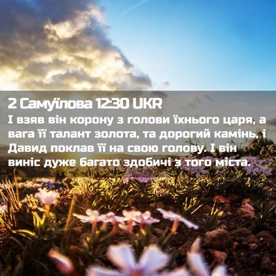 Picture 02 - 2 Самуїлова 12:30 UKR - І взяв він корону з голови - Bible Verse Picture
