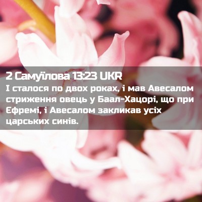Picture 02 - 2 Самуїлова 13:23 UKR - І сталося по двох роках, і - Bible Verse Picture