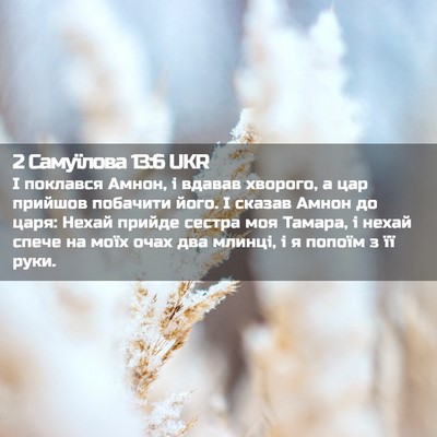 Picture 02 - 2 Самуїлова 13:6 UKR - І поклався Амнон, і вдавав - Bible Verse Picture