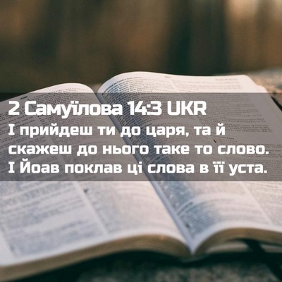 Picture 02 - 2 Самуїлова 14:3 UKR - І прийдеш ти до царя, та й - Bible Verse Picture