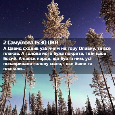 Picture 02 - 2 Самуїлова 15:30 UKR - А Давид сходив узбіччям на - Bible Verse Picture