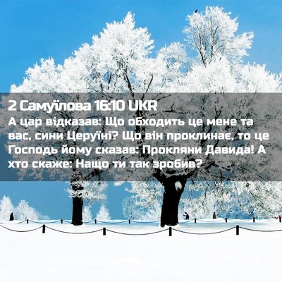 Picture 02 - 2 Самуїлова 16:10 UKR - А цар відказав: Що обходить - Bible Verse Picture
