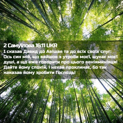 Picture 02 - 2 Самуїлова 16:11 UKR - І сказав Давид до Авішая та - Bible Verse Picture