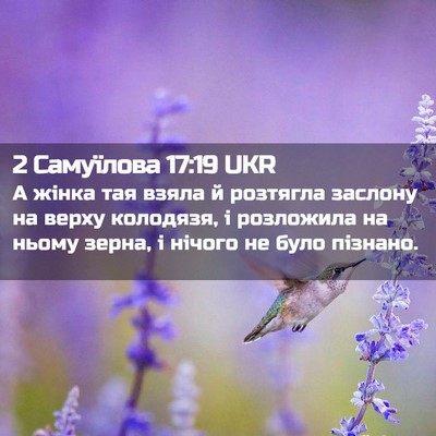 Picture 02 - 2 Самуїлова 17:19 UKR - А жінка тая взяла й - Bible Verse Picture