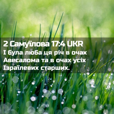 Picture 02 - 2 Самуїлова 17:4 UKR - І була люба ця річ в очах - Bible Verse Picture