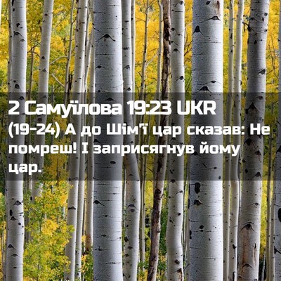 Picture 02 - 2 Самуїлова 19:23 UKR - (19-24) А до Шім'ї цар сказав: - Bible Verse Picture
