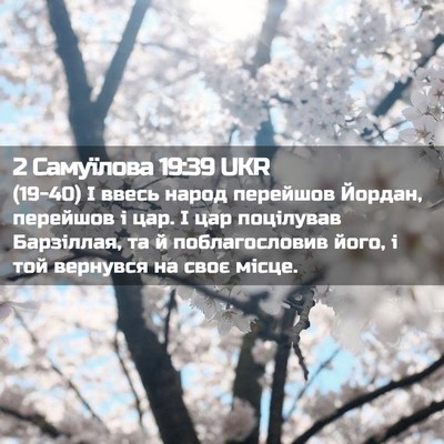 Picture 02 - 2 Самуїлова 19:39 UKR - (19-40) І ввесь народ перейшов - Bible Verse Picture
