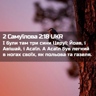 Picture 02 - 2 Самуїлова 2:18 UKR - І були там три сини Церуї: - Bible Verse Picture