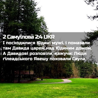 Picture 02 - 2 Самуїлова 2:4 UKR - І посходилися Юдині мужі, і - Bible Verse Picture